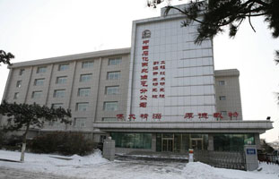 东北石油局项目