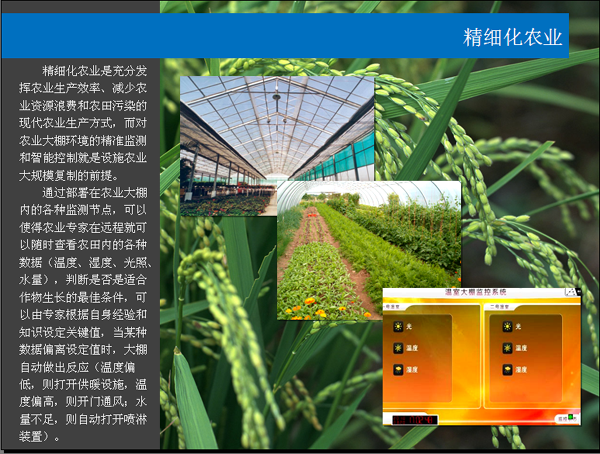 精细化农业
